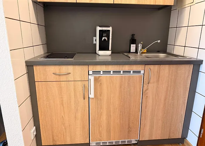 Rheinblick-apartment Mit Ambilight&boxspringbett